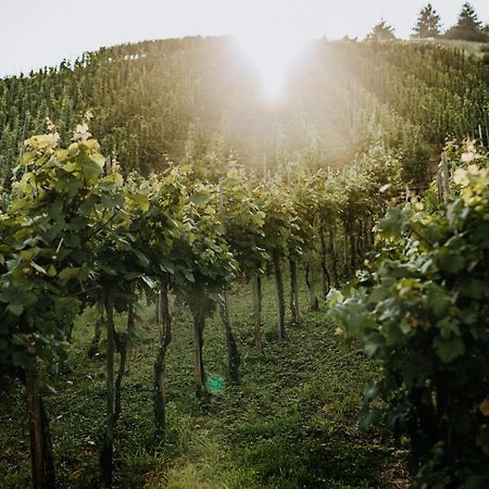 Weingut Meurer Lejlighed Reil Eksteriør billede