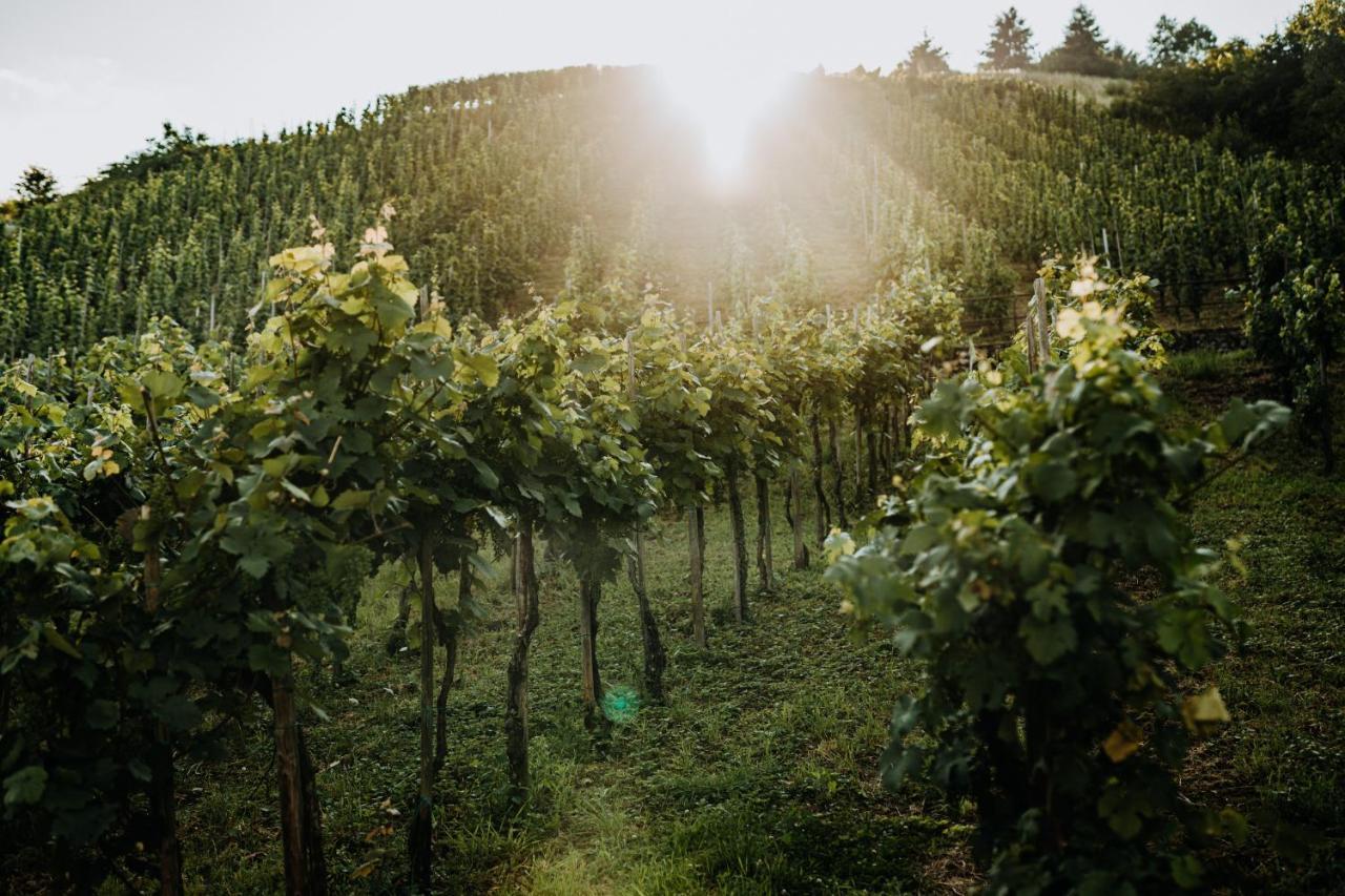 Weingut Meurer Lejlighed Reil Eksteriør billede